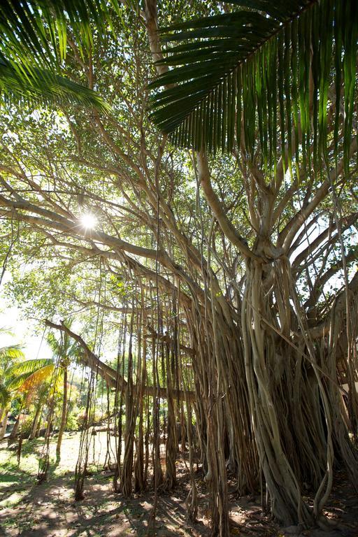 Lux* Grand Gaube Resort & Villas Экстерьер фото Banyan tree